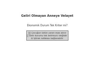 geliri olmayan anneye velayet verilir mi